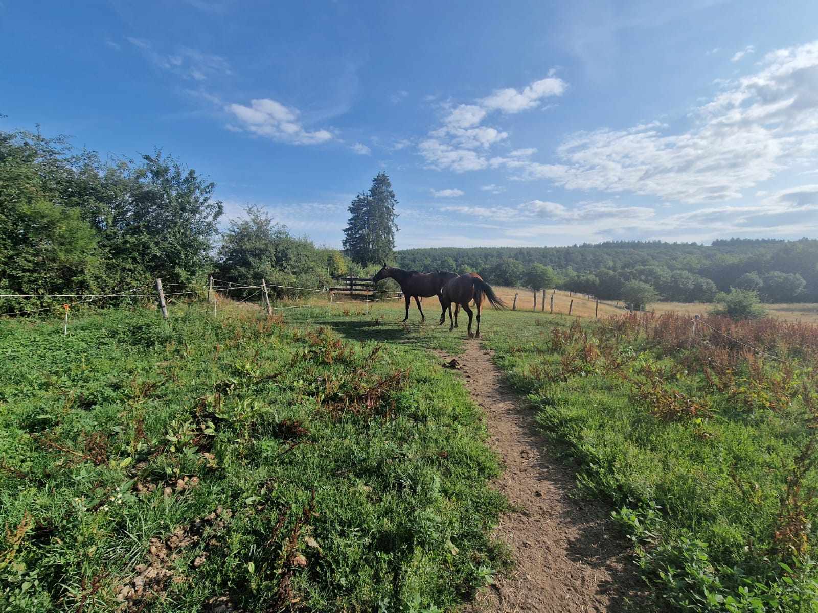 Photo du pré